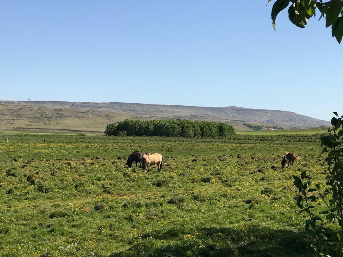 Dalabyggd Cottages - Romantic Stay By The Secret Lagoon Fludir Eksteriør bilde